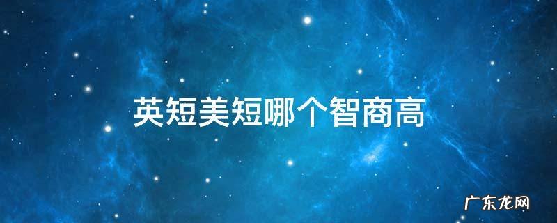 英短美短哪个智商高 美短和英短的智商