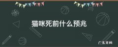 猫咪临死前的征兆是什么 猫咪死前什么预兆