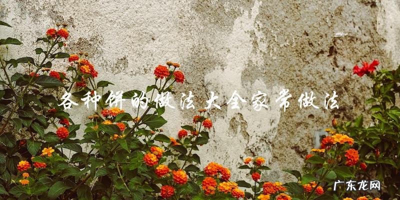 各种饼的家常做法大全!