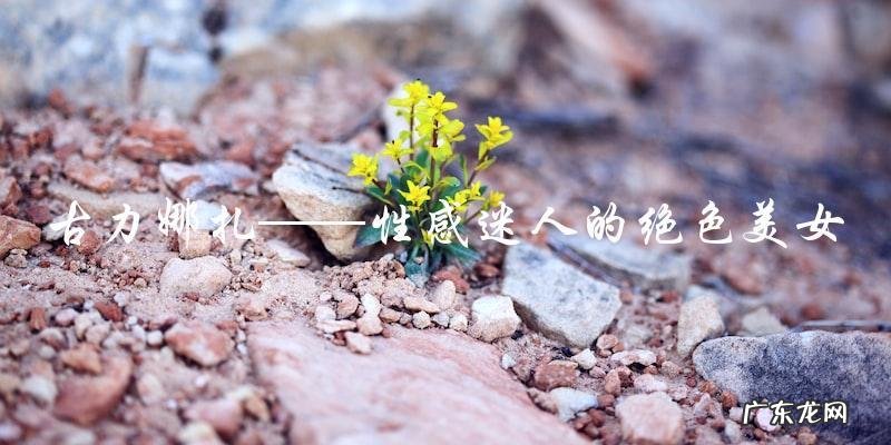 谁才是最美的女神？刘诗诗和古力娜扎你会选谁？