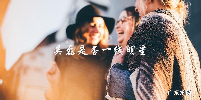 他的明星地位到底如何?吴磊是否真正的一线明星!