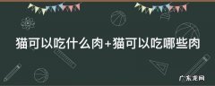 猫可以吃什么肉 布偶猫可以吃什么肉