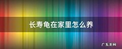 长寿龟在家里怎么养 家里养长寿龟放在哪里好