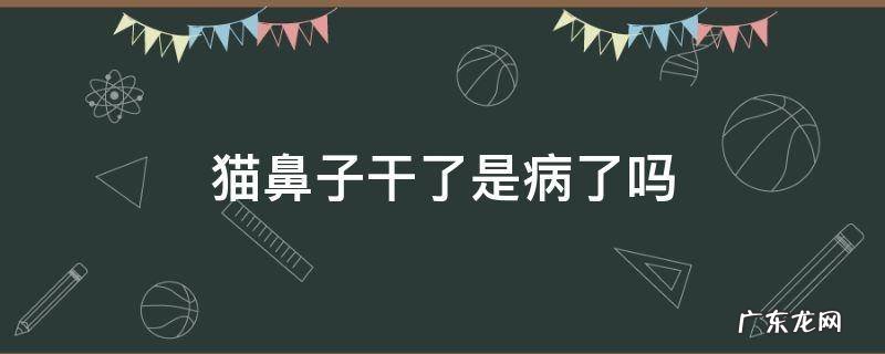 猫鼻子干的有事吗 猫鼻子干了是病了吗