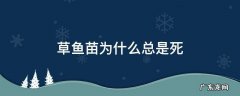 草鱼苗老是死 草鱼苗为什么总是死