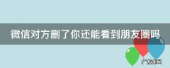微信对方删了你还能看到朋友圈吗 自动检测删除微信好友软件