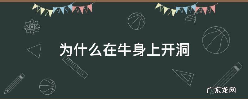 在牛的身体上开洞 为什么在牛身上开洞