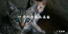 如何一步一步教你画出逼真的海豚？