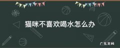 猫咪不喜欢喝水怎么办,猫不爱喝水怎么办 猫咪不喜欢喝水怎么办