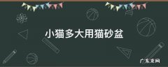 猫咪多大用猫砂盆 小猫多大用猫砂盆