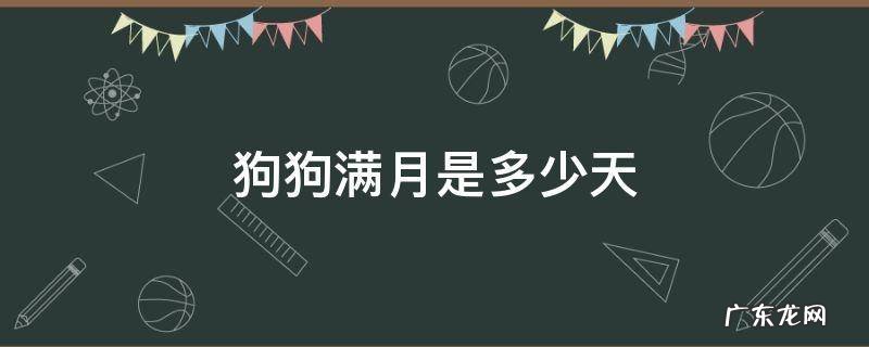 小狗满月是多少天呀 狗狗满月是多少天