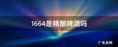 1664是精酿啤酒吗