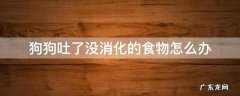 狗狗吐了没消化的食物怎么办 狗狗吃了不消化的东西吐了怎么办
