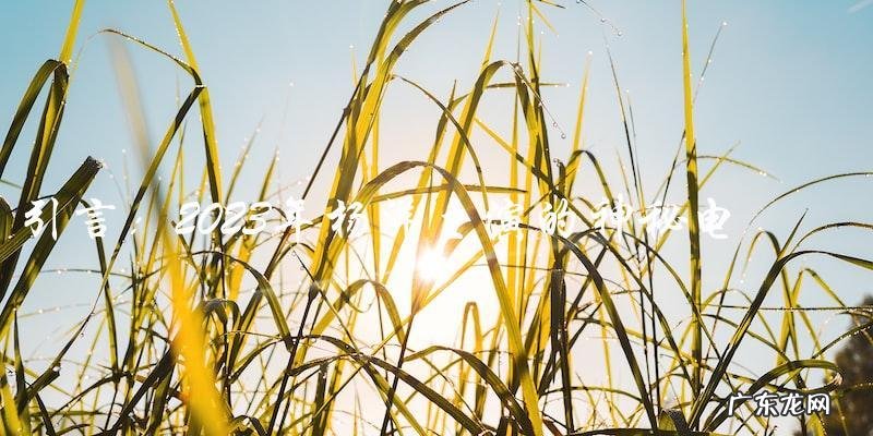 未来之约:2023年杨洋主演的神秘电视剧即将上映,故事究竟是什么?