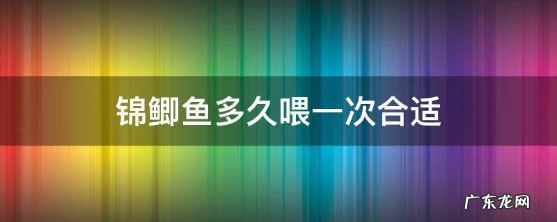锦鲤一天喂几次合适 锦鲫鱼多久喂一次合适