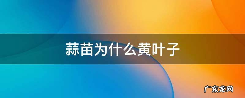 蒜苗为什么黄叶子 蒜苗的叶子为什么黄