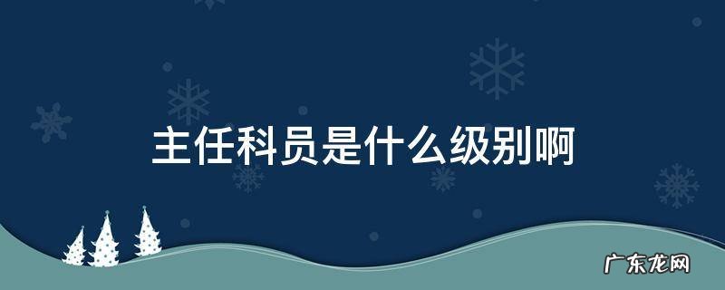 四级主任科员是什么级别啊 主任科员是什么级别啊