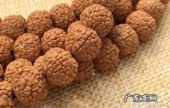 如何更快清理金刚菩提子