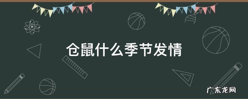 仓鼠什么季节发情