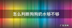 怎样判断狗狗有没有奶水 怎么判断狗狗奶水够不够