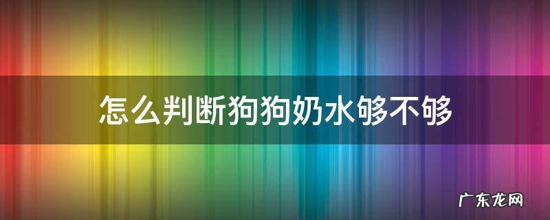 怎样判断狗狗有没有奶水 怎么判断狗狗奶水够不够