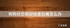狗狗状态很好但是拉稀怎么办 狗狗拉稀该怎么办