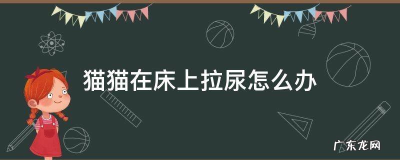 猫在床上拉尿怎么回事 猫猫在床上拉尿怎么办