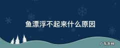 鱼漂浮动不上鱼 鱼漂浮不起来什么原因