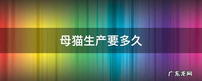 母猫生产要多久 母猫生产要多久时间