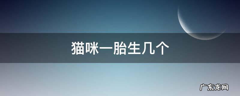 猫咪一胎生几个 猫咪一胎生几个崽