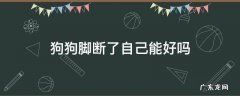 狗狗脚断了自己能好吗 小狗的脚断了还会不会好