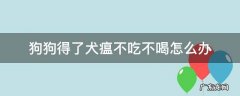 狗狗得了狗瘟不吃不喝怎么办 狗狗得了犬瘟不吃不喝怎么办