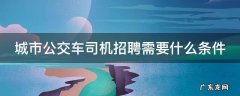公交司机的招聘条件 城市公交车司机招聘需要什么条件