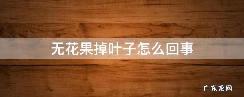 无花果掉叶子怎么回事 无花果叶子掉没了怎么办呢?