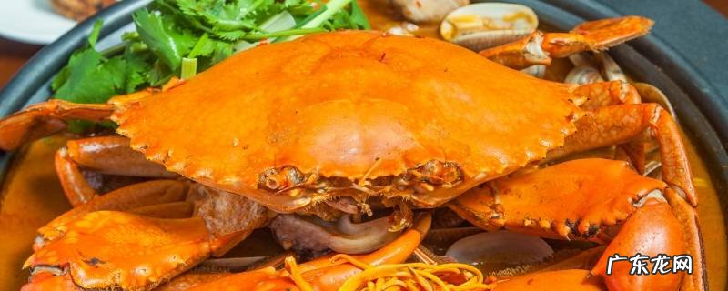 煮熟的螃蟹应该怎么吃 煮螃蟹怎么吃