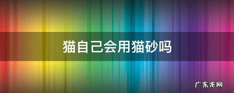 猫自己会用猫砂吗 猫为啥会自己用猫砂