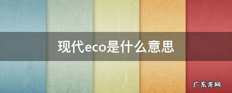 现代 eco 现代eco是什么意思