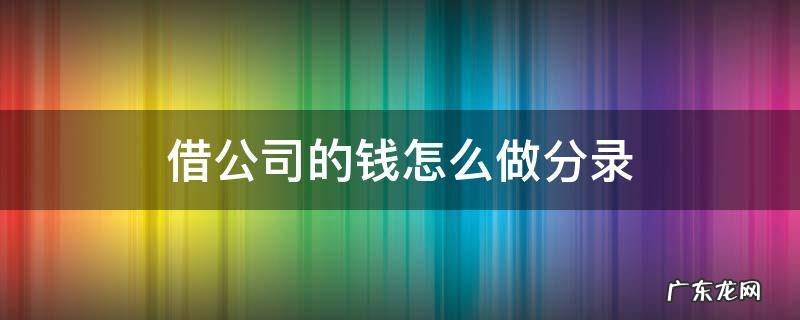 公司借钱给公司怎么做分录 借公司的钱怎么做分录