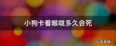 狗狗突然一直卡喉咙 小狗卡着喉咙多久会死