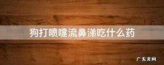 狗感冒打喷嚏用什么药 狗打喷嚏流鼻涕吃什么药