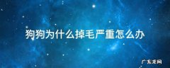 狗狗为什么掉毛严重怎么办 狗狗掉毛非常严重怎么办