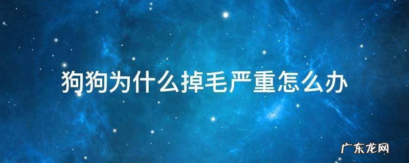 狗狗为什么掉毛严重怎么办 狗狗掉毛非常严重怎么办