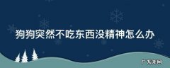 狗狗突然不吃东西没精神怎么办 狗狗突然不吃东西没精神怎么办 没有其他症状