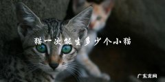一次繁殖，一只猫可以生多少只小猫？