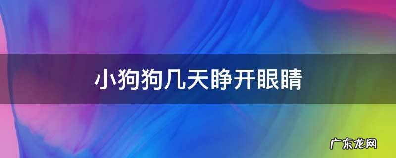 小狗狗几天睁开眼睛 狗狗几天睁开眼睛