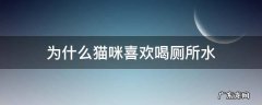 为什么猫咪喜欢喝厕所水 为什么猫咪喜欢去厕所喝水