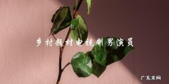 谁是最佳乡村男演员？