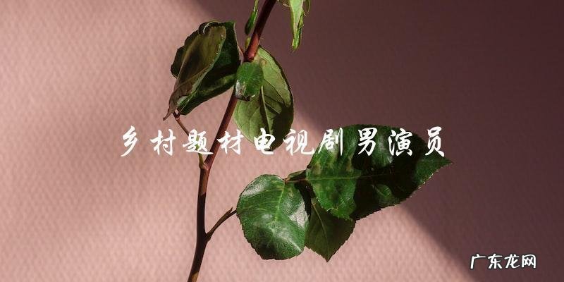 谁是最佳乡村男演员？