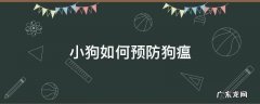 狗狗得了狗瘟怎么办 小狗如何预防狗瘟