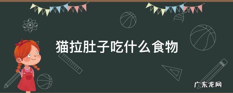 猫猫拉肚子可以吃什么 猫拉肚子吃什么食物